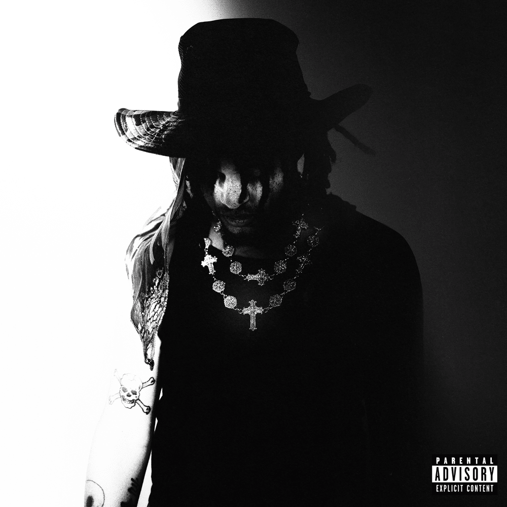 Cover image for NIGHTFALL