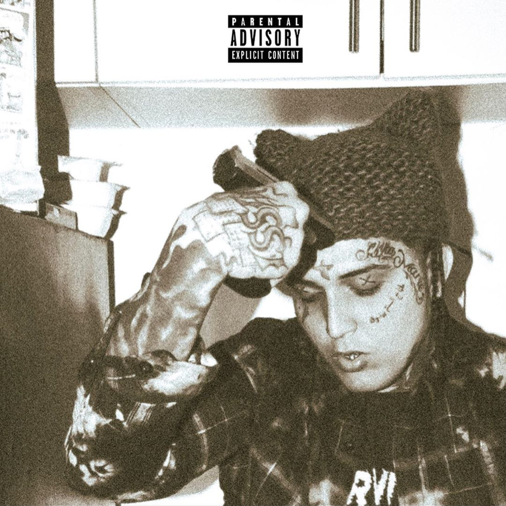 Album cover art for "V12" by City Morgue