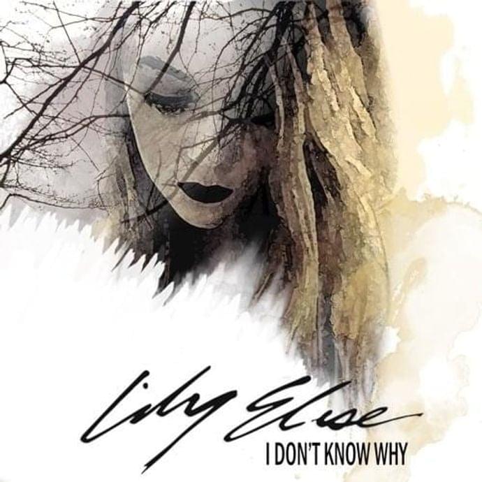 I Don’t Know Why by Lily Elise