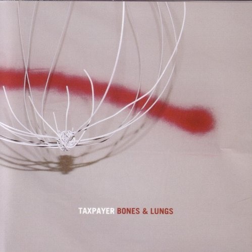 Album cover art for "When They Were Young" by Taxpayer