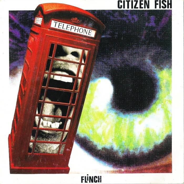 Social Insecurity by Citizen Fish