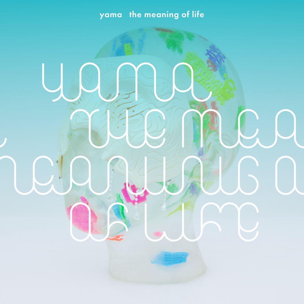 Cover image for the meaning of life