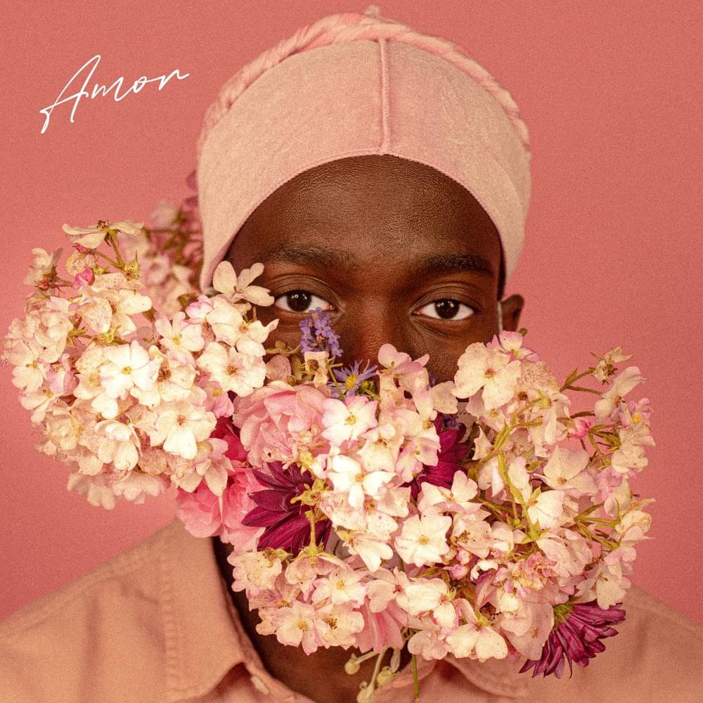 Cover image for Amor
