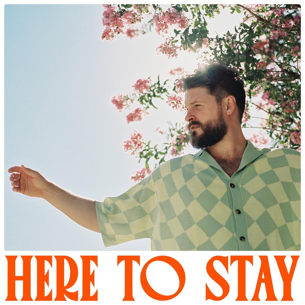 Here to Stay by Ian Hooper