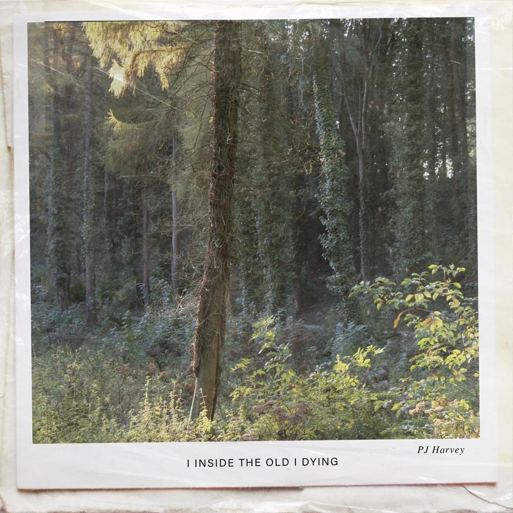 Album cover art for "I Inside the Old I Dying" by PJ Harvey