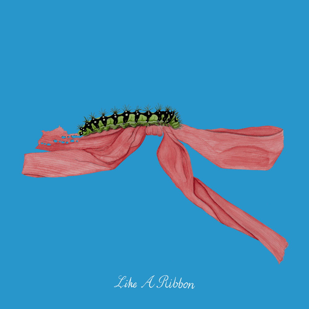 Album cover art for "Emotions" by John Glacier