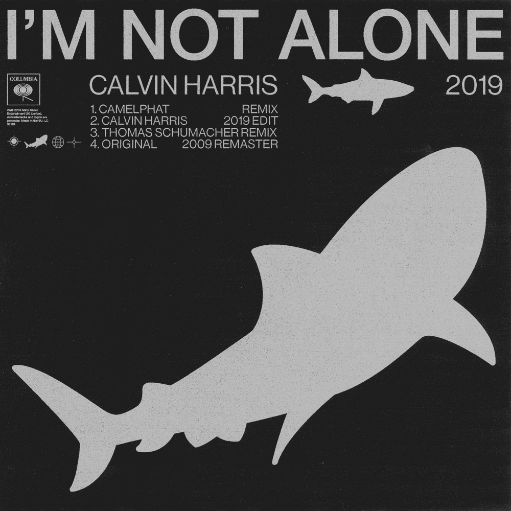 Cover image for I’m Not Alone 2019