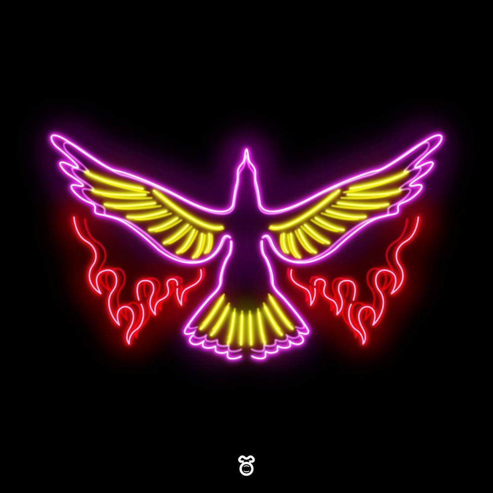 Rise by Wiwek