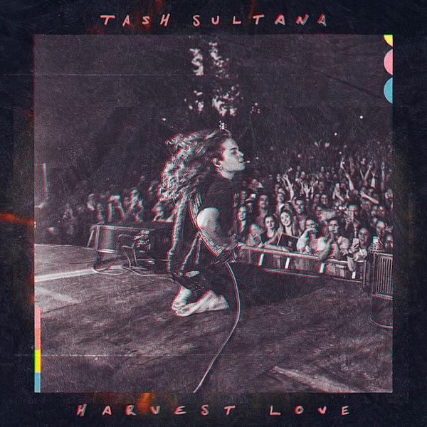 Harvest Love by Tash Sultana
