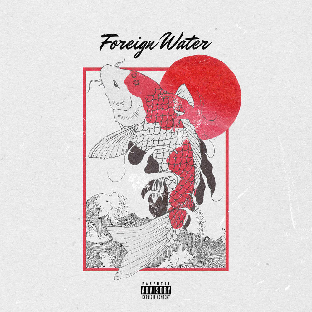 Cover image for Foreign Water