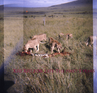 Cover image for Xiu Xiu for Life: The First 5 Years