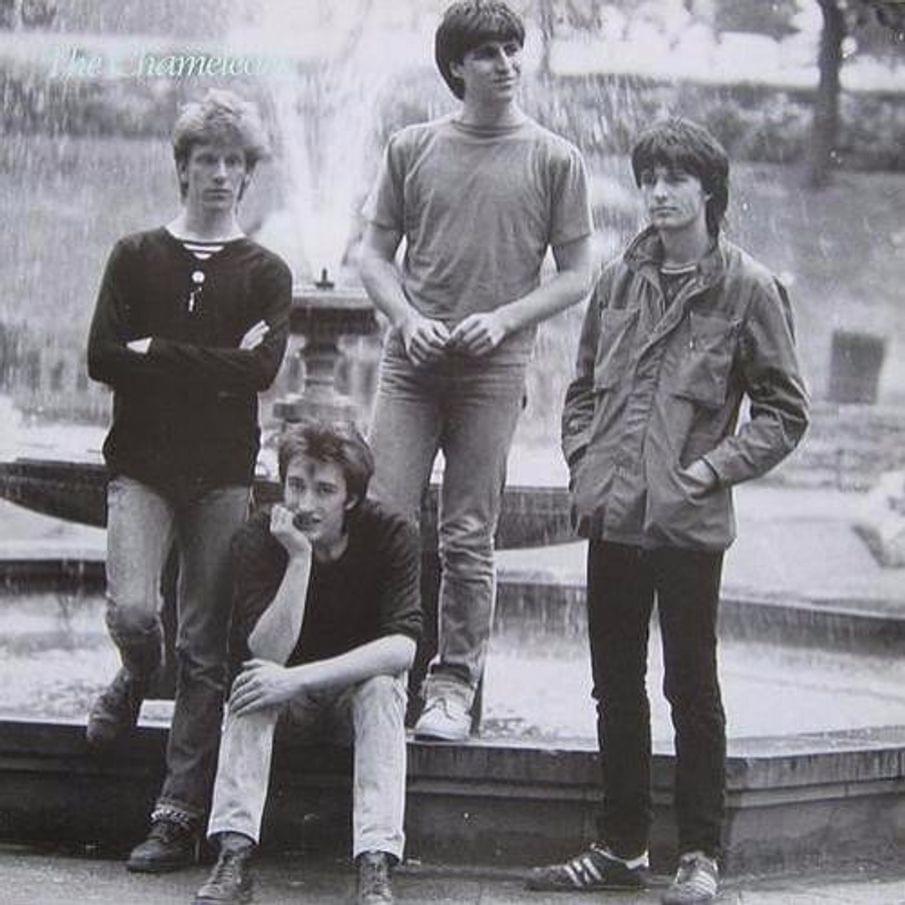 Album cover art for "Is It Any Wonder" by The Chameleons