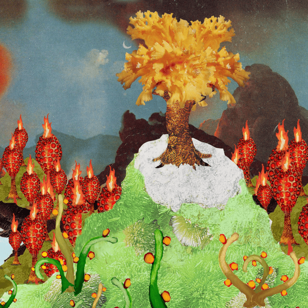 Album cover art for "Art Snob Solutions" by of Montreal