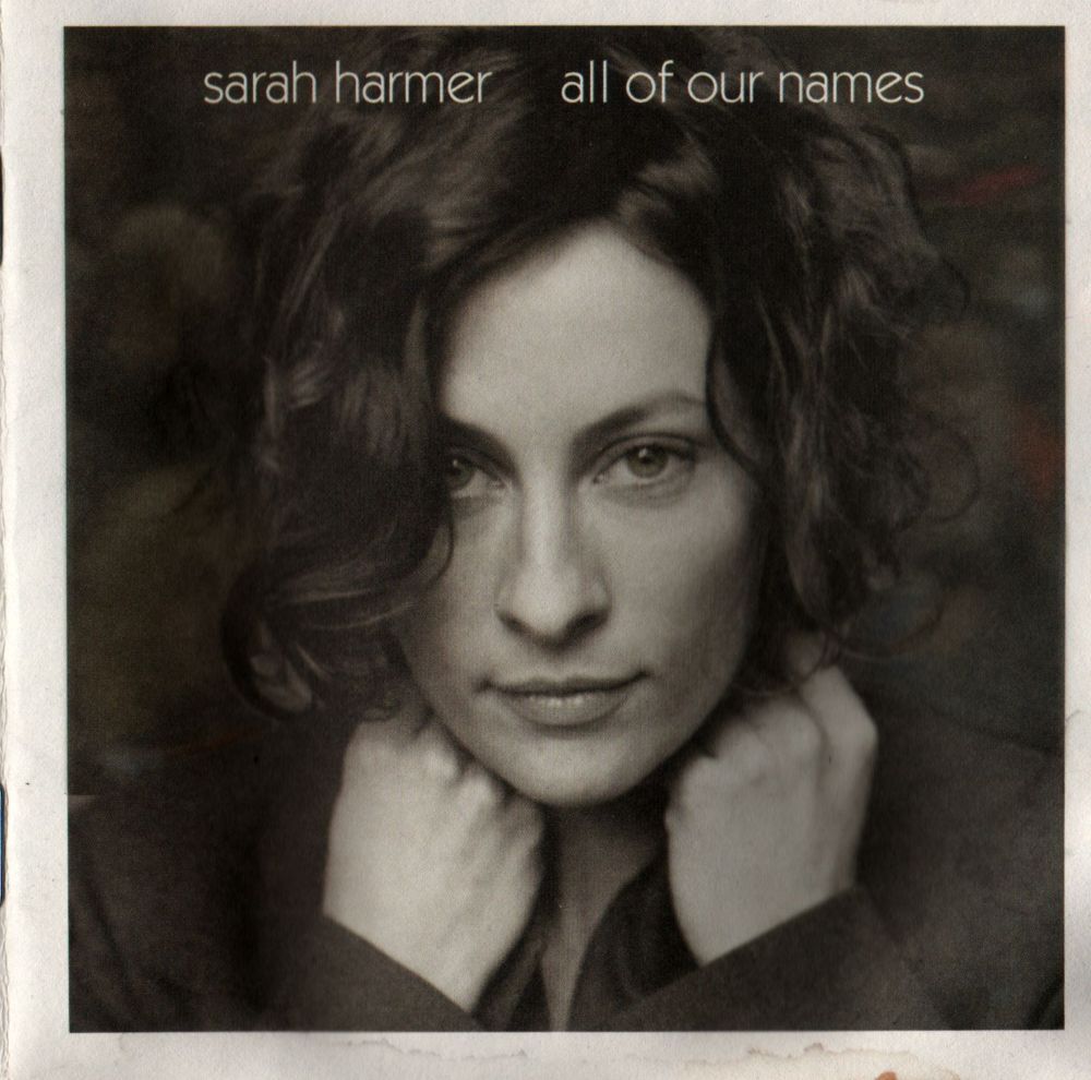 Dandelions in Bullet Holes by Sarah Harmer