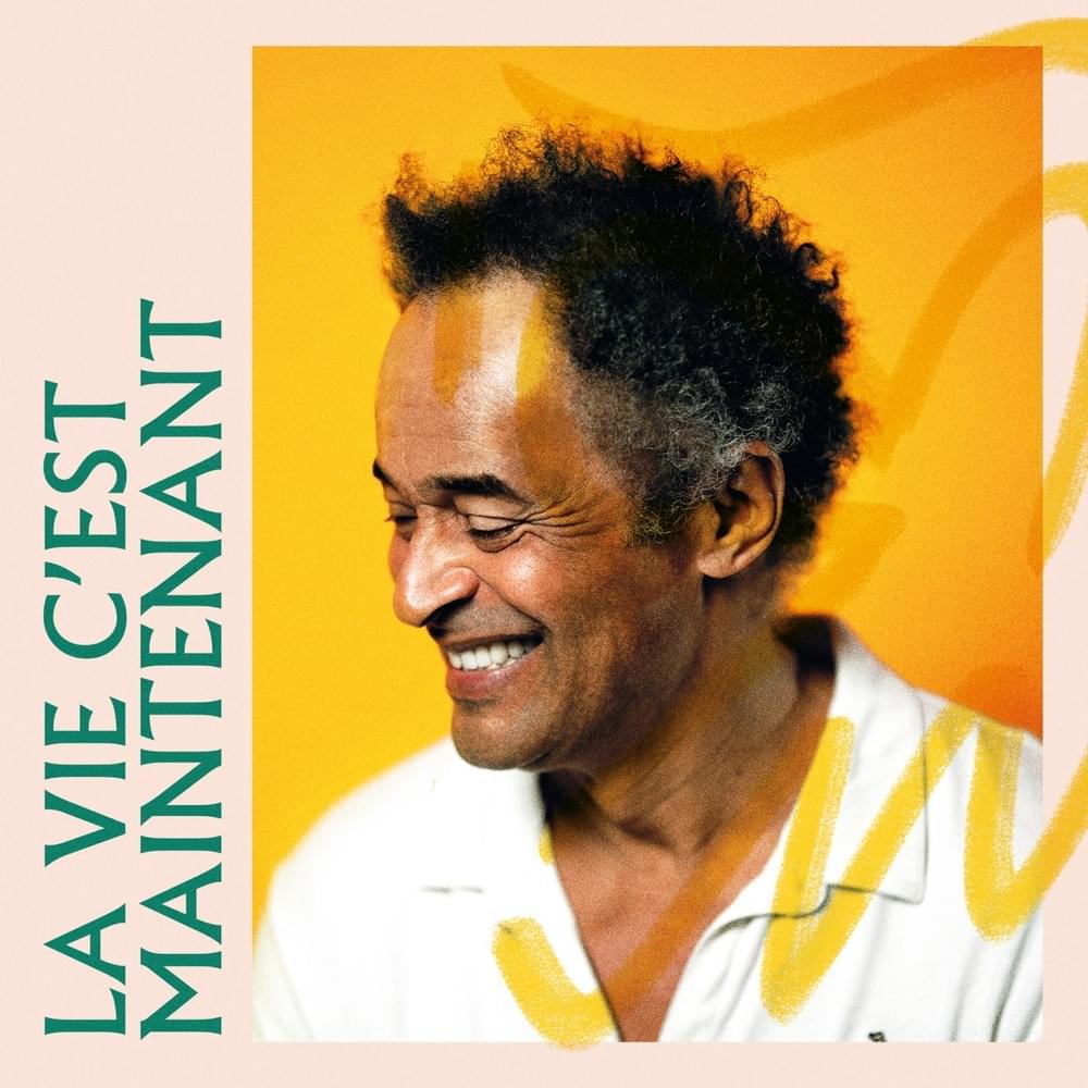 Album cover art for "La vie c’est maintenant" by Yannick Noah