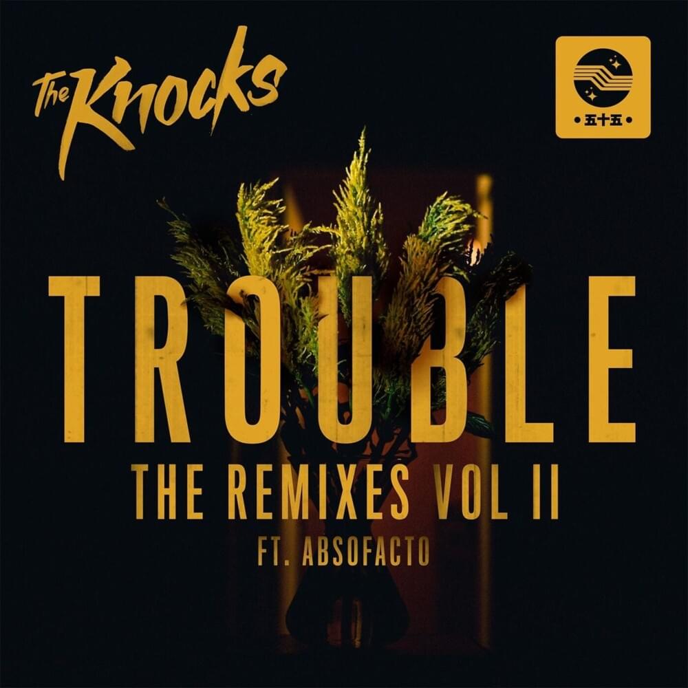 Cover image for TROUBLE (The Remixes, Vol. II)