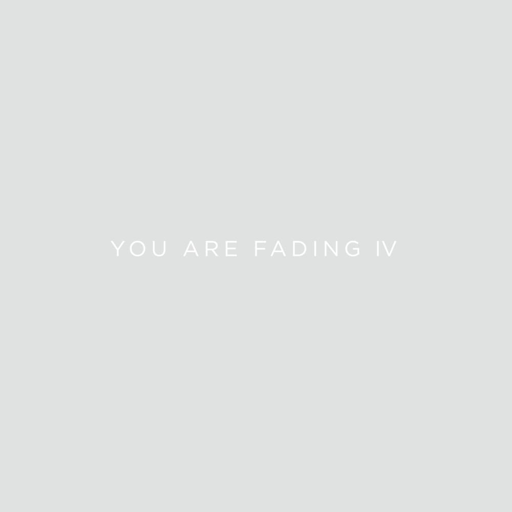Cover image for You Are Fading IV