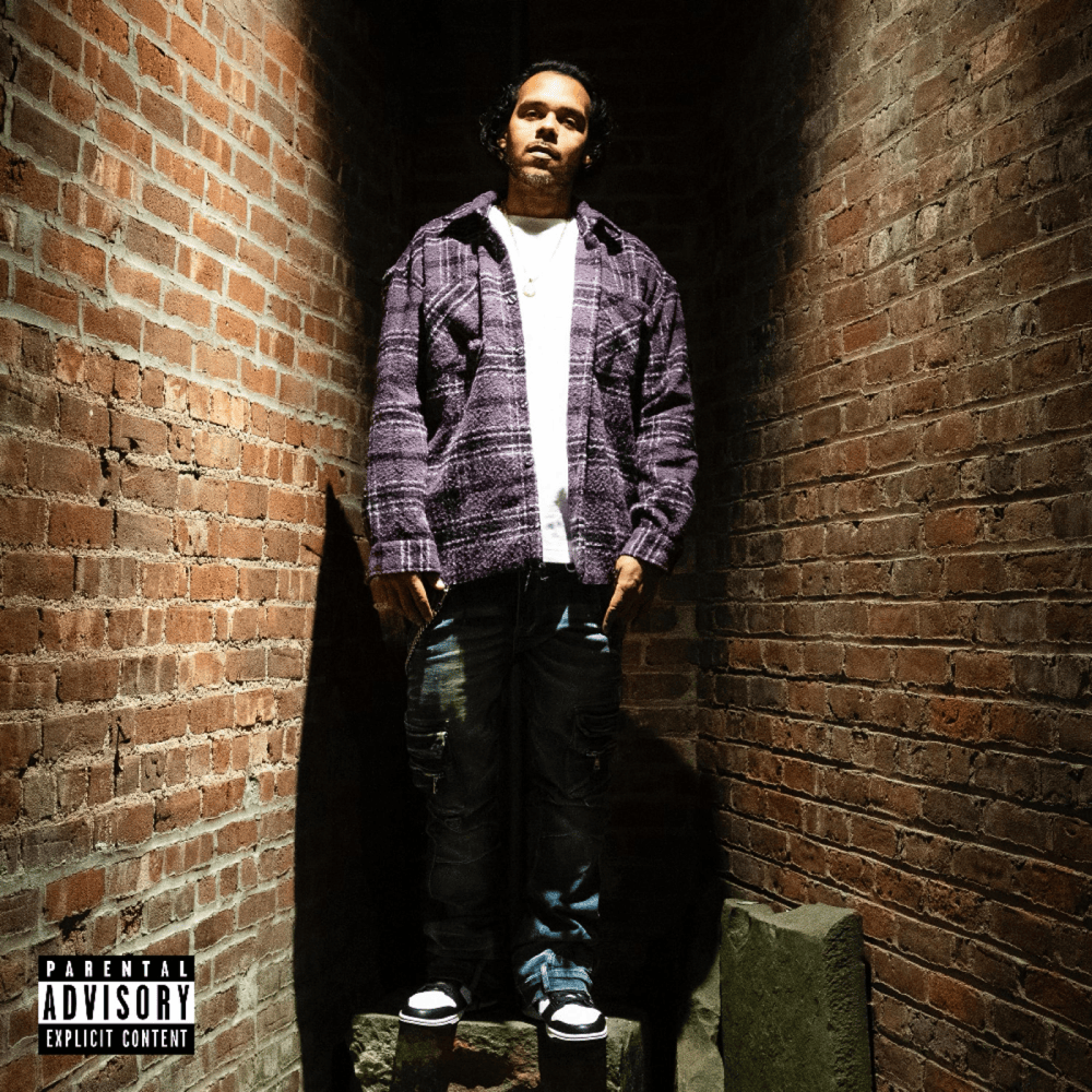 Cover image for EASTSIDE FEV (DELUXE)