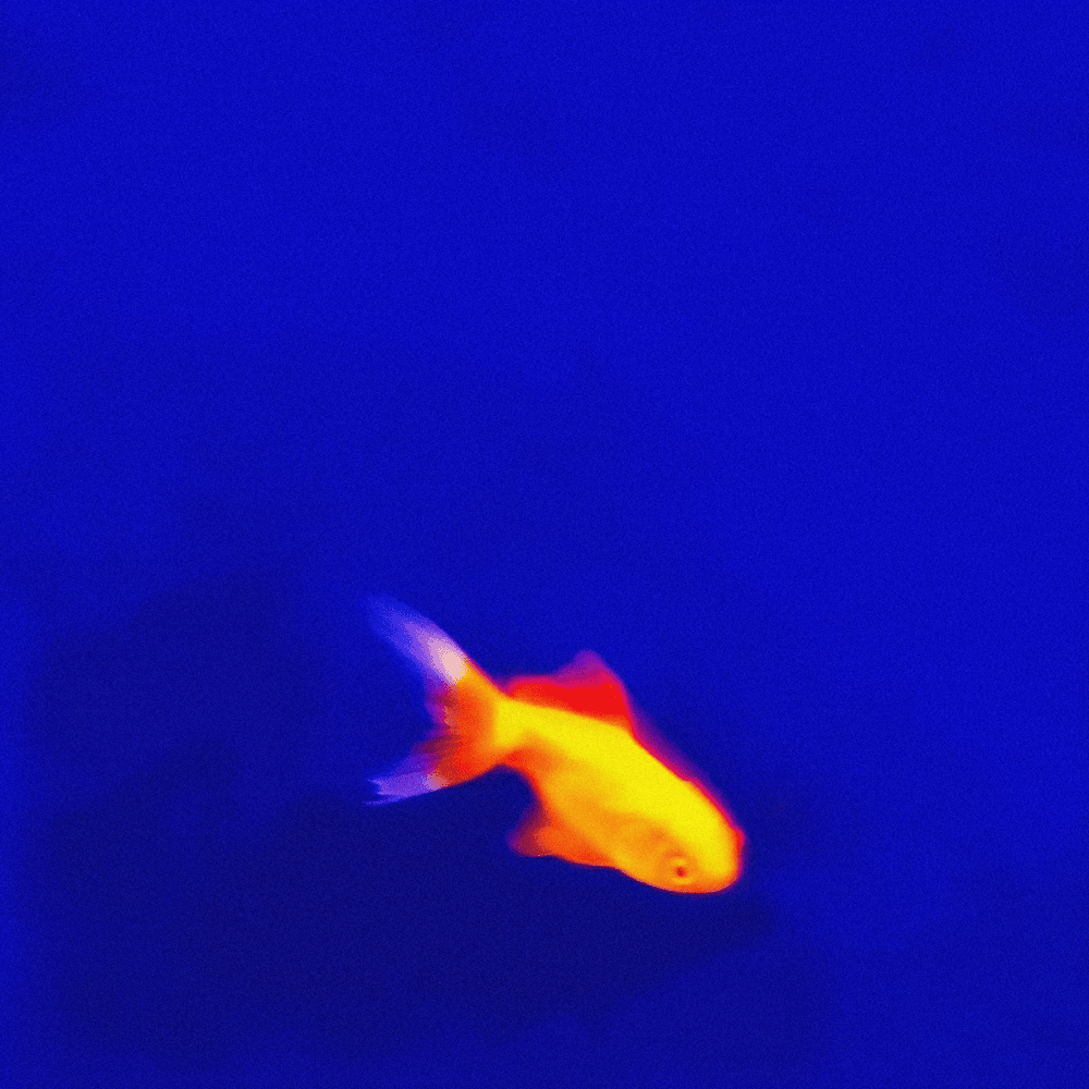 Cover image for Flints