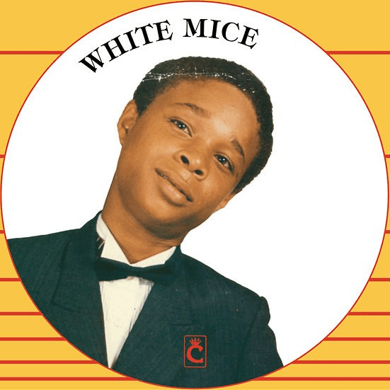White Mice Profile Picture Photo of White Mice