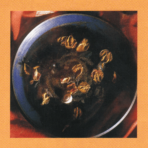 Album cover art for "Die Regie (Intro)" by ​morten
