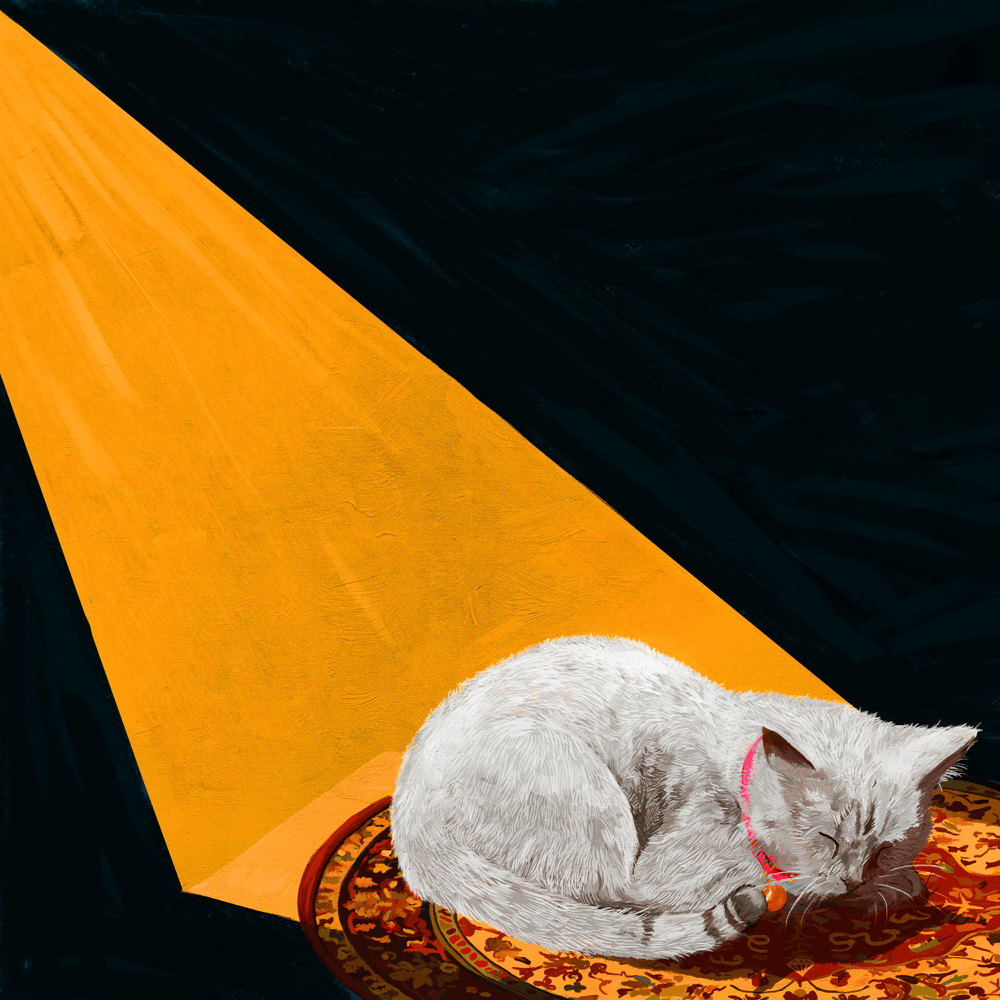 Cover image for Permanent Pleasure (Deluxe)
