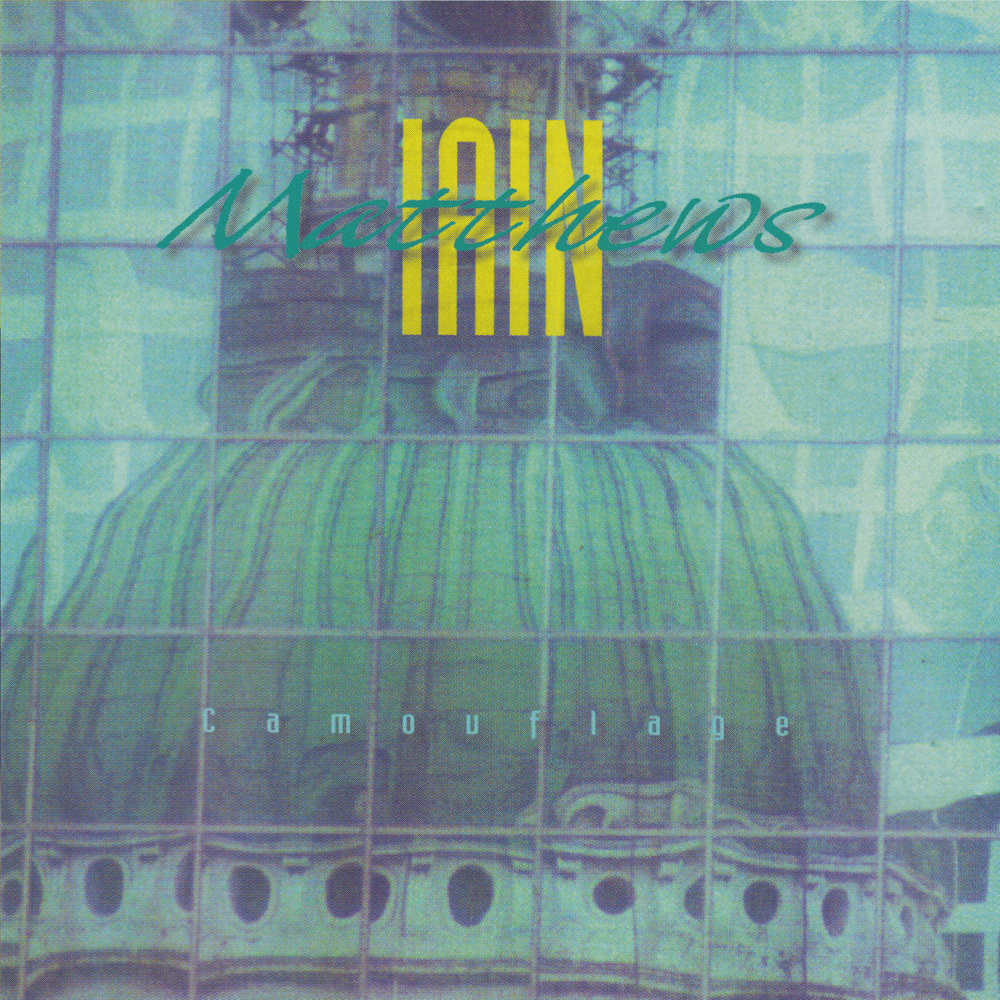 Cover image for Camouflage