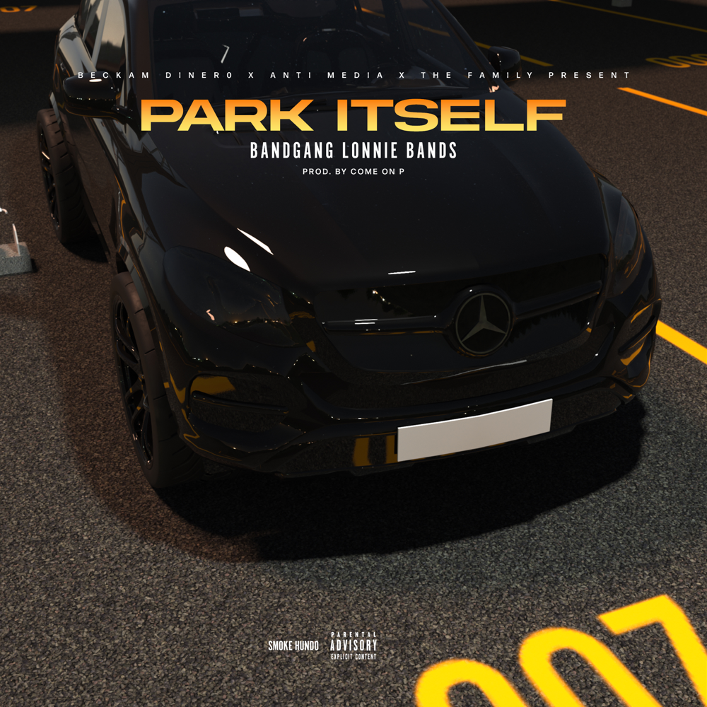 Album cover art for "Park Itself" by BandGang Lonnie Bands