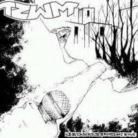 Album cover art for "Bez zapytań znaków" by TZWM & Wilku