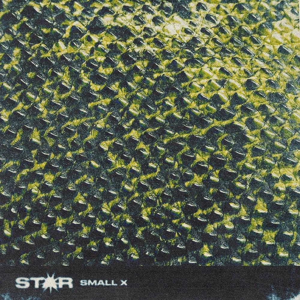 Album cover art for "Star" by SmallX