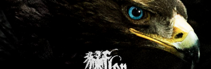 Album cover art for "Stabiler Deutscher" by Fler