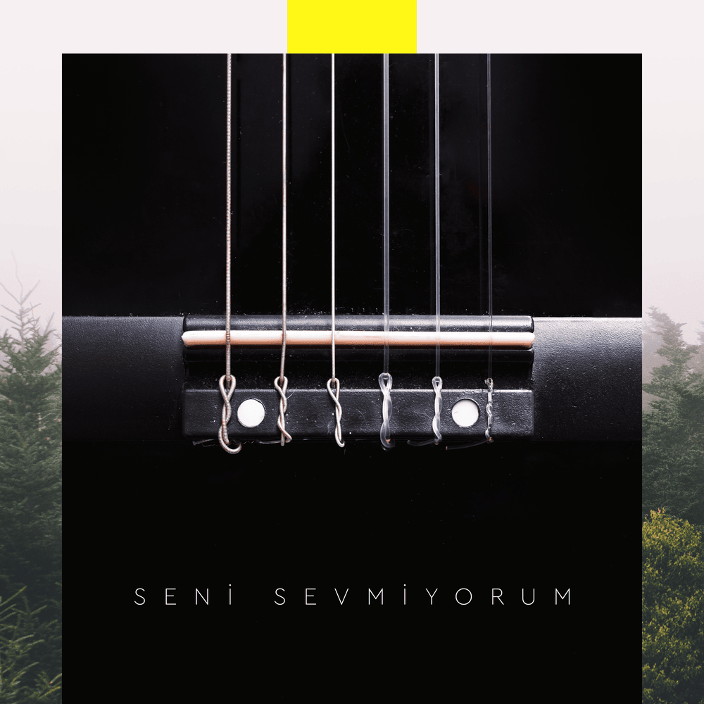 Album cover art for "Seni Sevmiyorum" by Patron