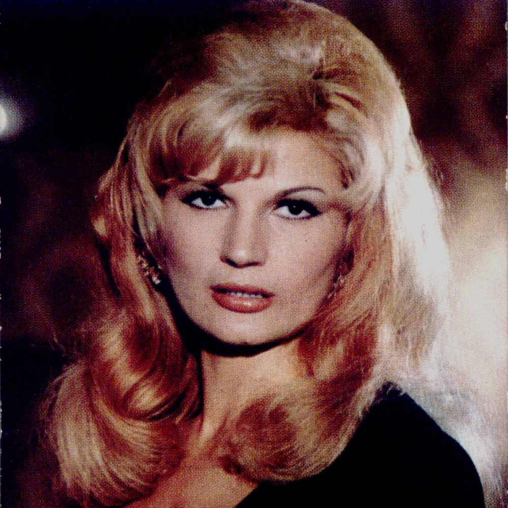 Cover image for Silvana Armenulić
