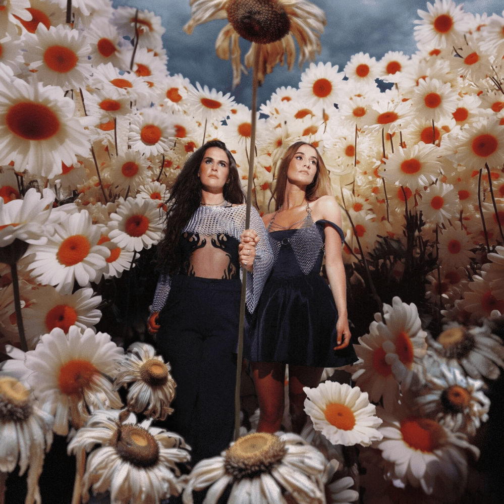 Cover image for The Death Of Daisies (Deluxe)