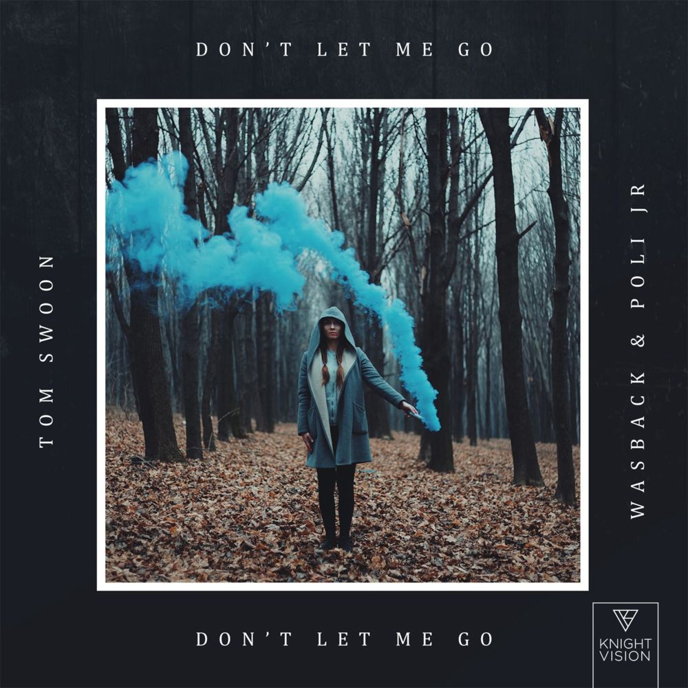Don’t Let Me Go by Tom Swoon