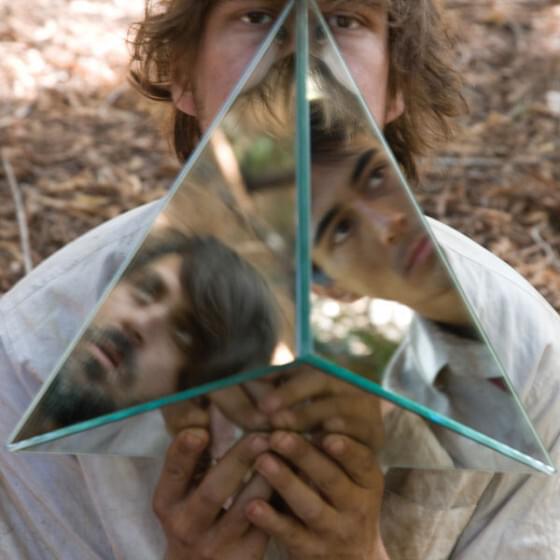 Album cover art for "Proud Evolution" by Liars