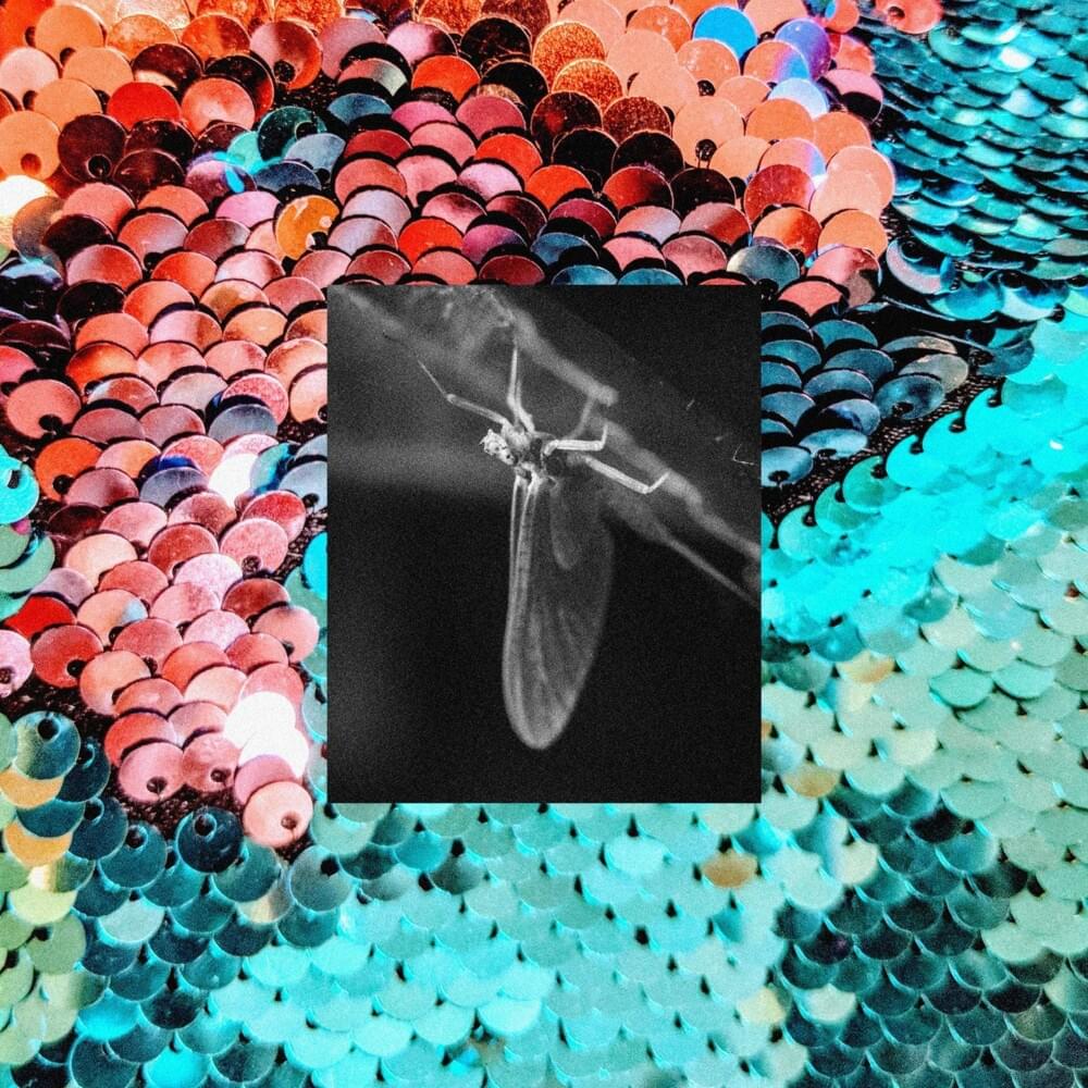 Cover image for Dagsländor