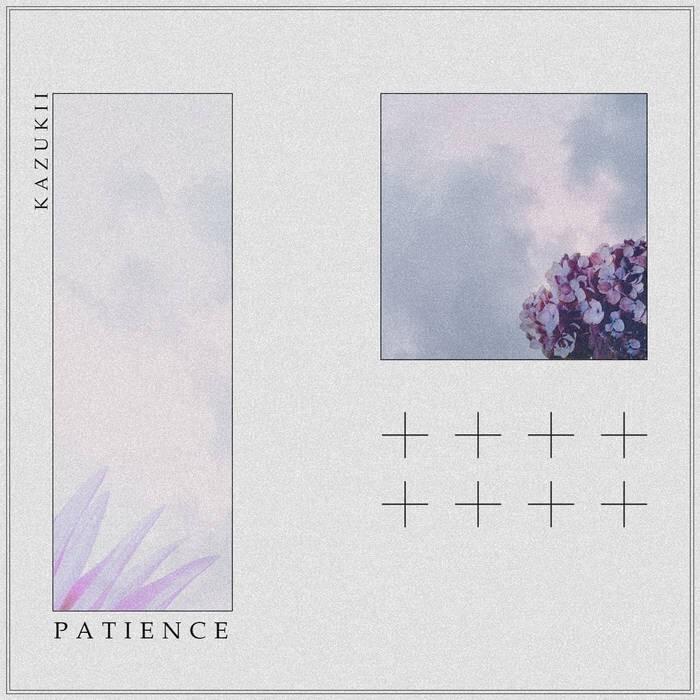 Cover image for Patience