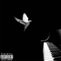Cover image for Apartheid (Black and White Music: The Prequel) - EP