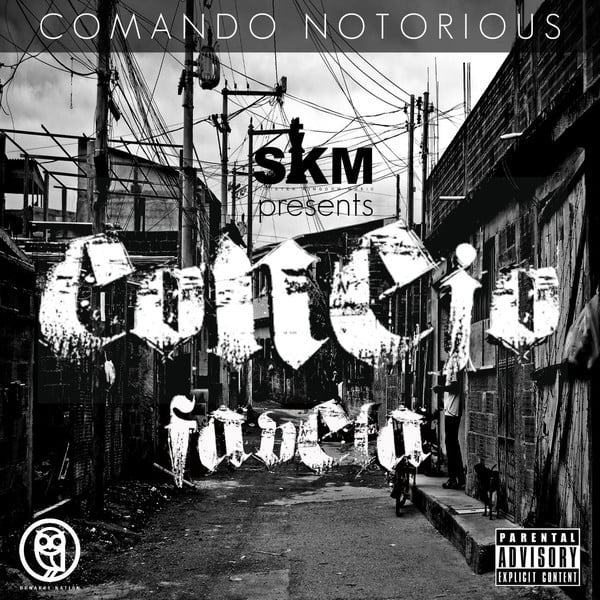 Cover image for Favela