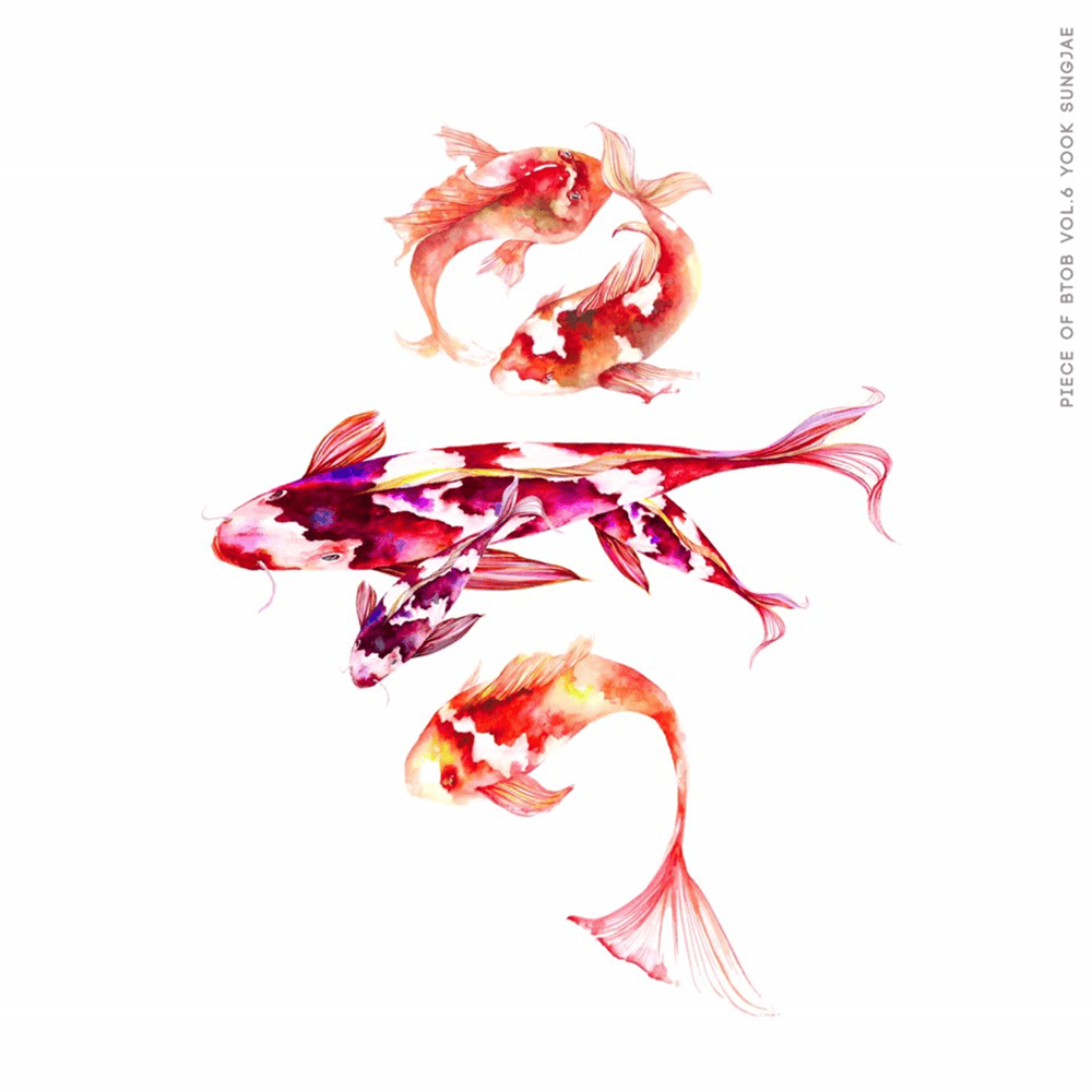 Cover image for Piece of BTOB Vol.6