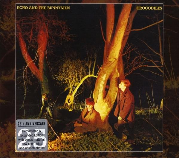 Cover image for Crocodiles (25th Anniversary Expanded Edition)
