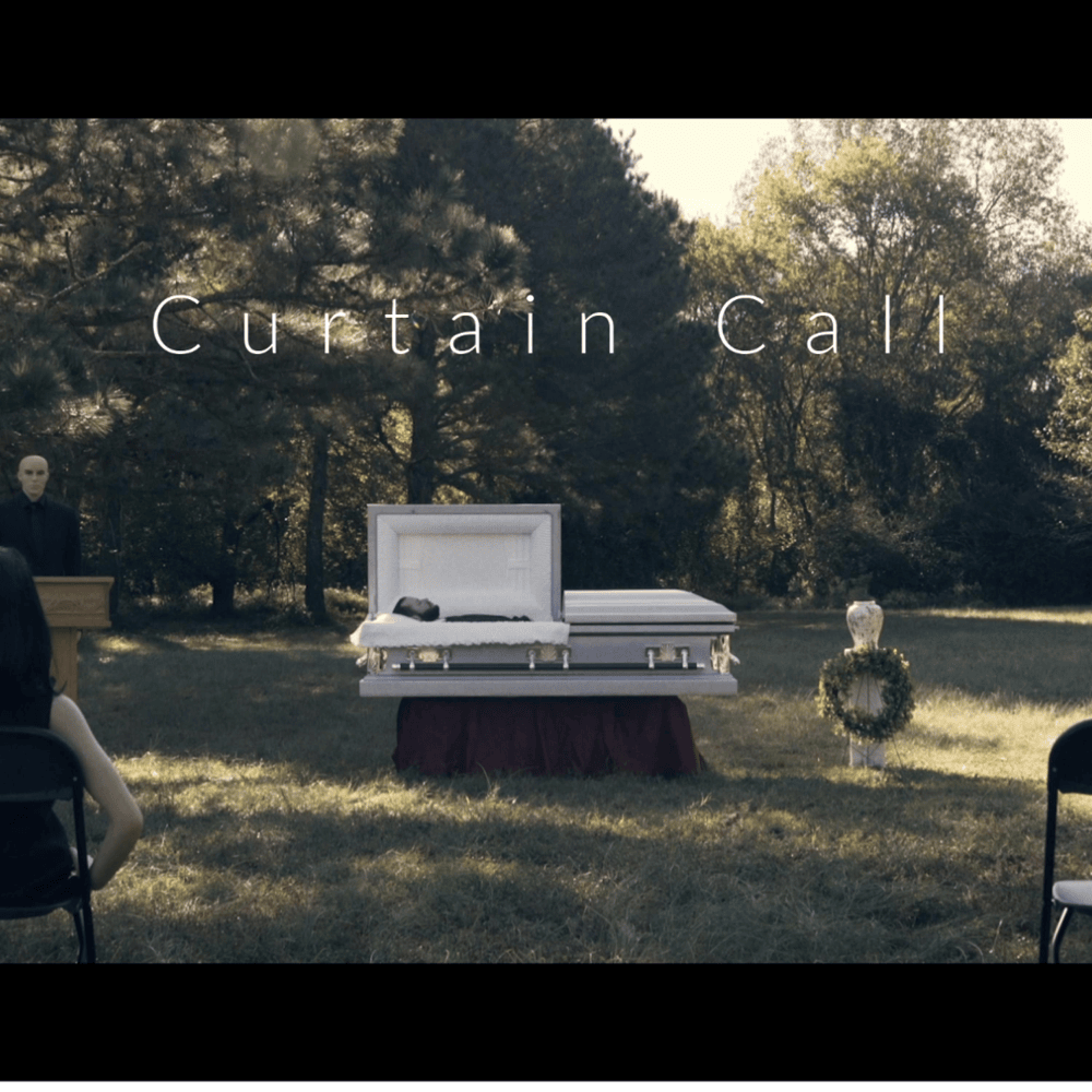 Cover image for Curtain Call