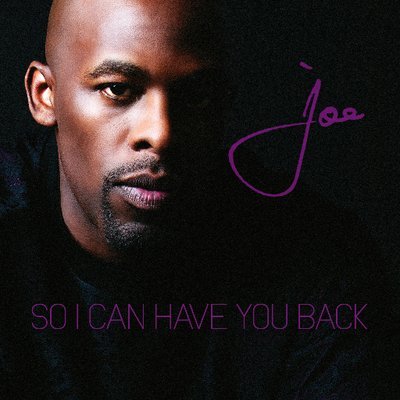 So I Can Have You Back by Joe