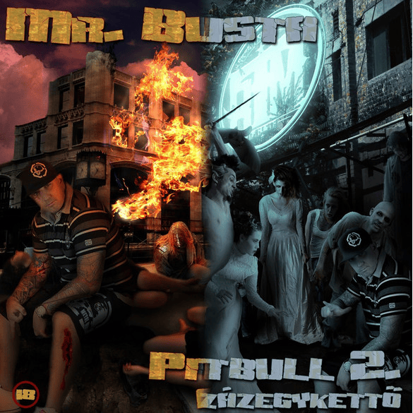 Album cover art for "Édesanyám" by Mr. Busta