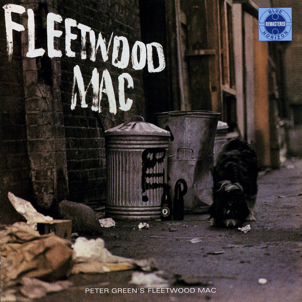 Album cover art for "Shake Your Moneymaker" by Fleetwood Mac