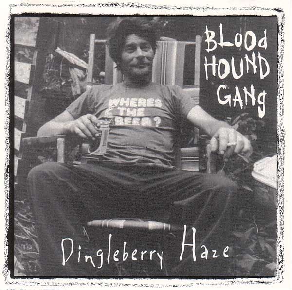 Cover image for Dingleberry Haze