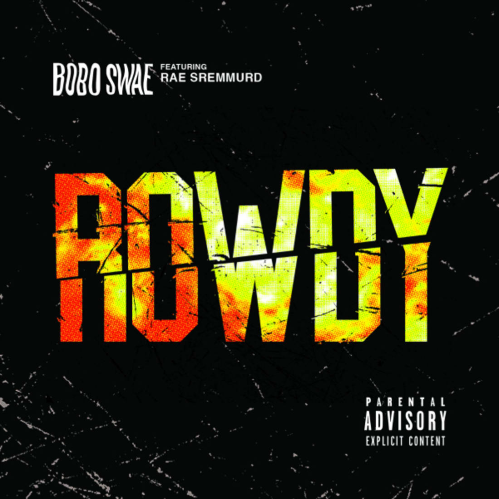 Cover image for Rowdy