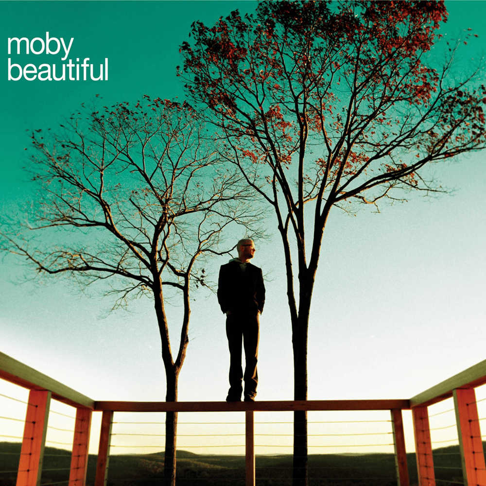 Album cover art for "Beautiful" by Moby