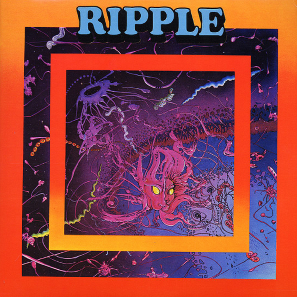 I Don’t Know What It Is, But It Sure Is Funky by Ripple